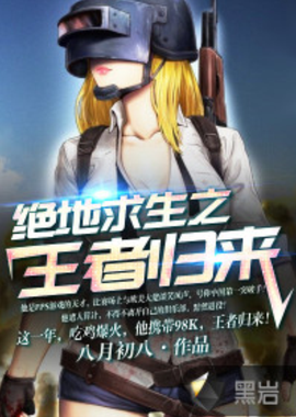 案例